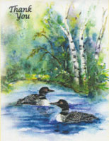 Loons on a lake