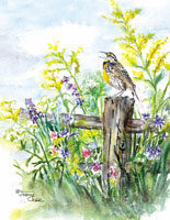 Bird on fencepost with yellow flowers