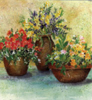 Three potted plants