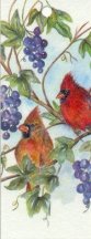 Cardinals on a grapevine