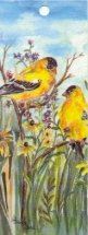 Goldfinches in wildflowers