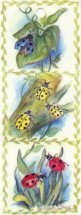 Three panels of ladybugs; matching card BC0073